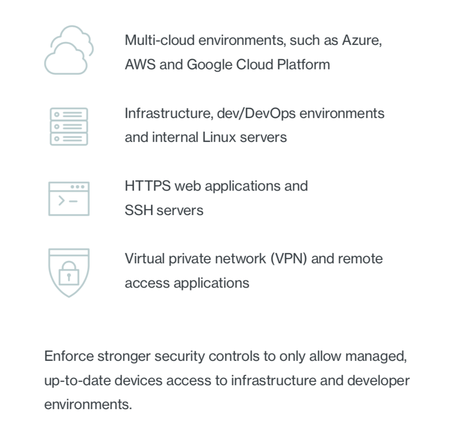 Multi-cloud environments, infrastructure, HTTPS web apps and SSH servers, virtual private network (VPN) & remote access apps.